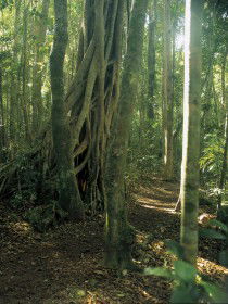 Schoolies Week Accommodation