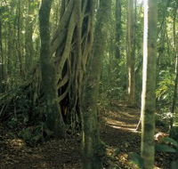 Mount Bithongabel - Schoolies Week Accommodation