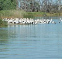 Lake Ross - Schoolies Week Accommodation