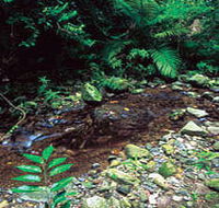Wompoo Walk - Schoolies Week Accommodation