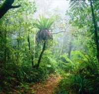 Lamington National Park Green Mountains Section - Schoolies Week Accommodation