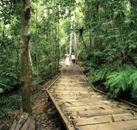 Lake Barrine Circuit Track Crater Lakes National Park - Schoolies Week Accommodation
