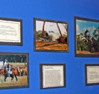 Town Hall Photographic Display - Schoolies Week Accommodation