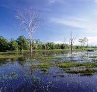 Tyto Wetlands - Schoolies Week Accommodation