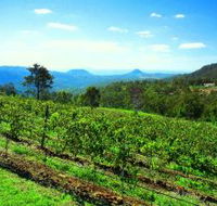 Preston Peak Wines - Schoolies Week Accommodation