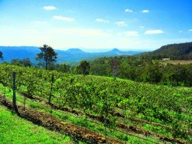Preston Peak Wines - Schoolies Week Accommodation 0
