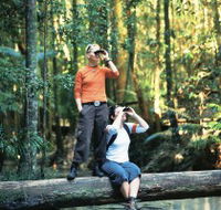 Birdwatching on the Fraser Coast - Schoolies Week Accommodation
