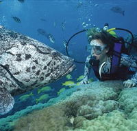 Pelorus Island - Schoolies Week Accommodation