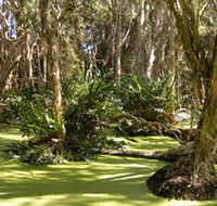Arkarra Lagoons and Tea Gardens - Schoolies Week Accommodation