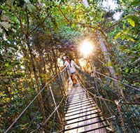 Tree Top Walkway - Schoolies Week Accommodation