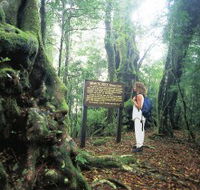 Tooloona Creek circuit - Schoolies Week Accommodation