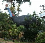 The Big Cassowary - Schoolies Week Accommodation