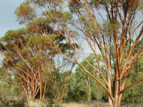 Southern Queensland Country QLD Schoolies Week Accommodation