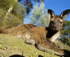 Brewster VIC Schoolies Week Accommodation
