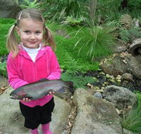 Wild Food Farm  Cafe - Schoolies Week Accommodation
