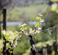 Elan Vineyard and Winery - Schoolies Week Accommodation