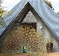 Halls Gap Zoo - Schoolies Week Accommodation