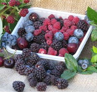 Bright Berry Farms - Schoolies Week Accommodation