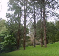 Mount Dandenong Arboretum - Schoolies Week Accommodation
