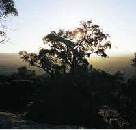 Yarra Flats - Schoolies Week Accommodation