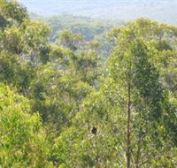 Bunyip State Park - Schoolies Week Accommodation