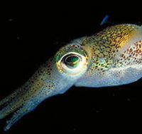 Corner Inlet Marine National Park - Schoolies Week Accommodation