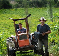 Kellybrook Winery  Kelly Brothers Cider - Schoolies Week Accommodation