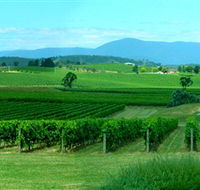Acacia Ridge Vineyard - Schoolies Week Accommodation