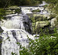 Agnes Falls Scenic Reserve - Schoolies Week Accommodation