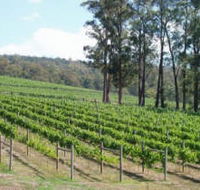 Piedmont Vineyard - Schoolies Week Accommodation