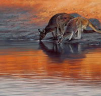 Steve Morvell Wildlife Art - Schoolies Week Accommodation