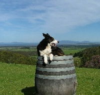 Windy Ridge Vineyard and Winery - Schoolies Week Accommodation
