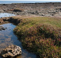 Ricketts Point Marine Sanctuary - Schoolies Week Accommodation