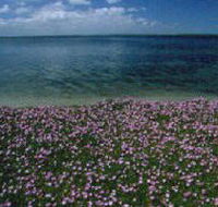 The Lakes National Park - Schoolies Week Accommodation