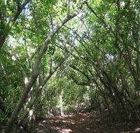 Eucalypt Trail - Schoolies Week Accommodation