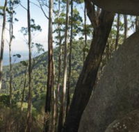 Gulaga National Park - Schoolies Week Accommodation