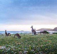 Pebbly Beach - Schoolies Week Accommodation