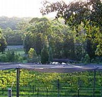Lyrebird Ridge Organic Winery - Schoolies Week Accommodation
