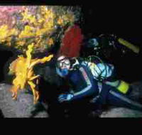 Solitary Islands Marine Park - Schoolies Week Accommodation