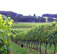 Banjo's Run Winery and Vineyard - Schoolies Week Accommodation