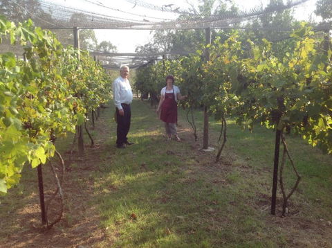 Holland Wines - Schoolies Week Accommodation 8