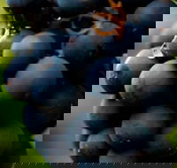 Swinging Bridge Estate - Schoolies Week Accommodation