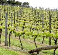 Bantry Grove - Schoolies Week Accommodation