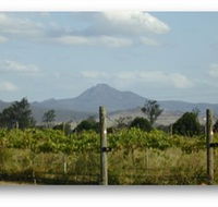 Ironbark Ridge Vineyard - Schoolies Week Accommodation