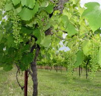 Holland Wines - Schoolies Week Accommodation
