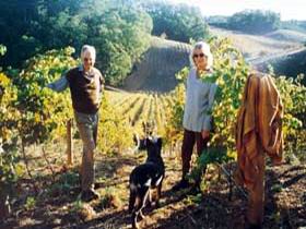 Mt Lofty Ranges Vineyard - Schoolies Week Accommodation 0