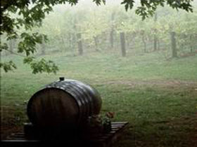 Arranmore Wines - Schoolies Week Accommodation 2