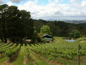 Arranmore Wines - Schoolies Week Accommodation 0