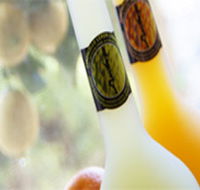 Ambra Limoncello - Schoolies Week Accommodation