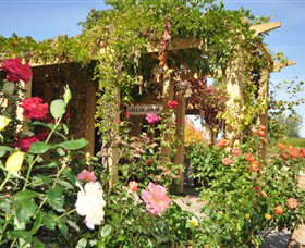 Garners Heritage Wines - Schoolies Week Accommodation 1